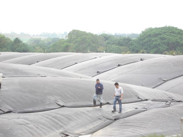 Bioactivadores